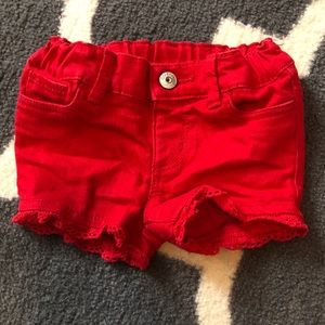 OshKosh B’Gosh Shorts